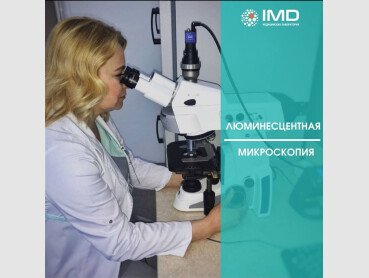 Зображення №1