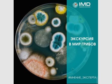 Зображення №2