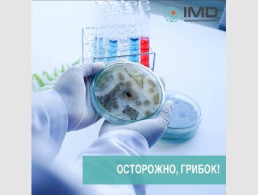 Зображення №4